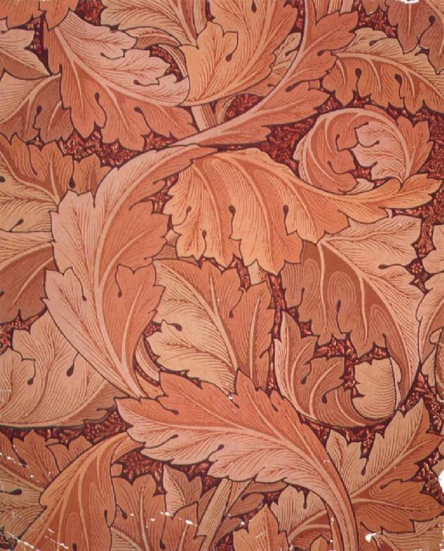 Acanthus Wallpaper, Morris, William